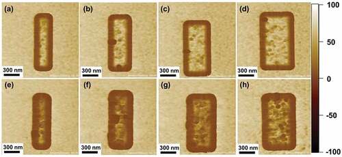 Figure 5. (a) AFM adhesion images of Au strips with thicknesses of (a-d) 50 nm and (e-f) 100 nm and widths of (a, e) 200 nm, (b, f) 300 nm, (c, g) 400 nm, and (d, h) 500 nm.