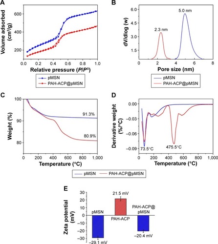 Figure 3 Dimensional analysis, thermogravimetric analysis, and zeta potential measurements (N=6).Notes: Nitrogen adsorption–desorption isotherms (A) and pore size distribution (B) of pMSN and PAH-ACP@pMSN. Thermogravimetric analysis (C) and derivative thermogravimetric analysis (D) plots of pMSN and PAH-ACP@pMSN. Zeta potential measurements of pMSN, PAH-ACP, and PAH-ACP@pMSN (E).Abbreviations: pMSN, expanded-pore mesoporous silica nanoparticles; PAH-ACP, poly(allylamine)-stabilized amorphous calcium phosphate; PAH-ACP@pMSN, PAH-ACP loaded pMSN.