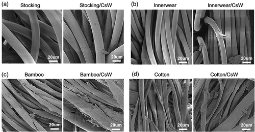 Figure 6. SEM images before (left panels) and after (right panels) CsW coating for (a) stockings, (b) innerwear, (c) bamboo, and (d) cotton.