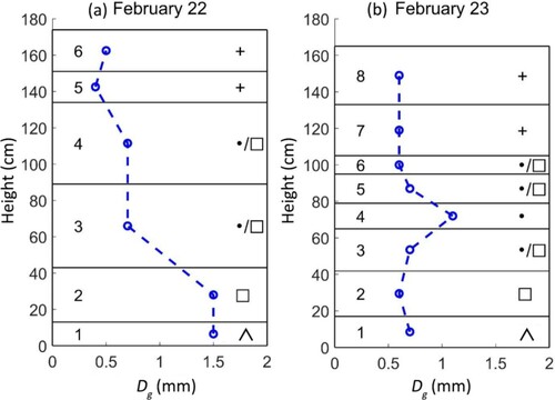 Figure 3. Stratigraphy, geometric grain size, and morphological classification according to Fierz et al. (Citation2009) for the snowpits on 22 February (a) and 23 February (b).