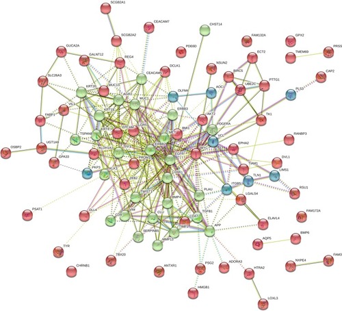 Figure 3 Network and enrichment analysis visualization. Combined screenshots from the STRING website, showing results obtained upon entering a set of 131 proteins suspected to be involved in circulating tumor cell markers. According on kmeans clustering has been selected, the corresponding protein nodes in three categories automatically highlighted in colors.