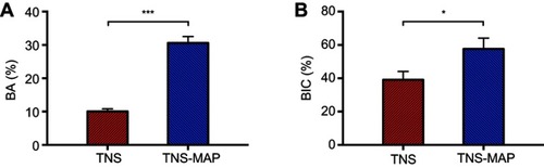 Figure 12 Quantitative histomorphometric analysis within the region of measurement (BA and BIC).Notes: (A) Percentage of new bone formation (BA) and (B) percentage of direct BIC (***P<0.001; *P<0.05).Abbreviations: BA, bone area ratio; BIC, bone–implant contact; TNS, titanium with nanonetwork structures; TNS-MAP, titanium with nanonetwork structures coated with mussel adhesive protein.