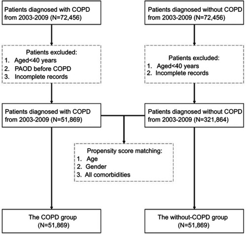 Figure 1 Flowchart of subject enrollment.Abbreviations: COPD, chronic obstructive pulmonary disease; PAOD, peripheral arterial occlusive disease.