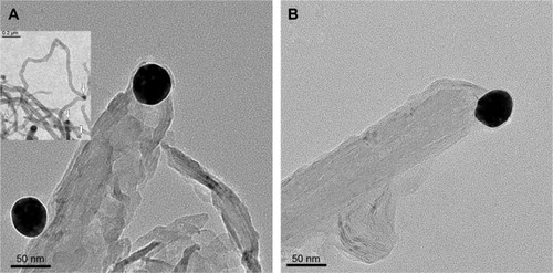 Figure 6 TEM images of (A) CDDP@f-MWCNT-2 composed of MWCNT, AuNP, and ester linkage and (B) CDDP@f-MWCNT-3 composed of MWCNT, AuNP, and disulfide linkage. Inset in (A): HRTEM of CDDP@f-MWCNT-2 showing the walls of MWCNTs and suggesting the presence of tubes with both ends capped with gold nanoparticles (white arrows).Abbreviations: AuNPs, gold nanoparticles; CDDP, cis-diammineplatinum(II) dichloride; HRTEM, high-resolution TEM; MWCNT, multi-walled carbon nanotube; TEM, transmission electron microscopy.