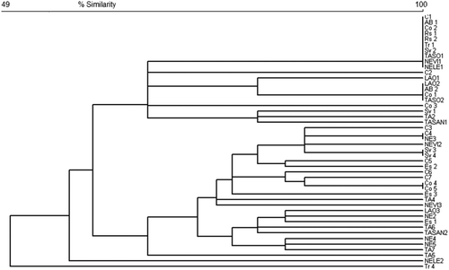 Figure 2. Bray-Curtis similarity dendrogram regarding 54 freshwater fish sampling stations.
