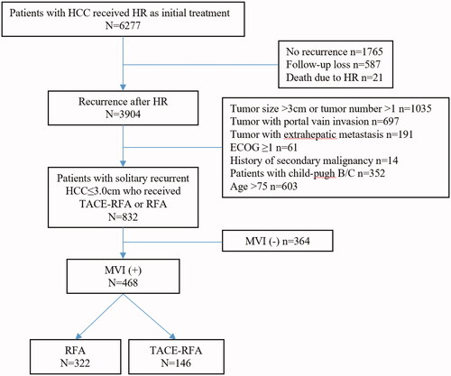 Figure 1. Flow chart of the patient selection. HCC: hepatocellular carcinoma; HR: hepatic resection; ECOG: Eastern Cooperative Oncology Group; MVI: microvascular invasion; RFA: radiofrequency ablation; TACE: transarterial chemoembolization.