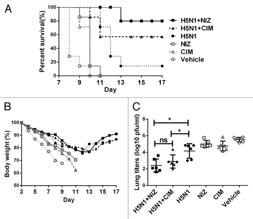 Figure 5. Effects of NIZ on the protective responses. Seven mice in each group were immunized once with the killed H5N1 antigen, with or without NIZ, 14 d before challenge with 10 LD50 per animal. (A) Survival curves after H5N1 challenge were recorded. (B) Body weight change of challenged mice was measured every day and (C) viral loads in the lungs of each animal were measured 7 d after the challenge. All data are presented as mean ± SD *P < 0.05, **P < 0.01 compared with mice immunized with the killed H5N1 antigen alone.