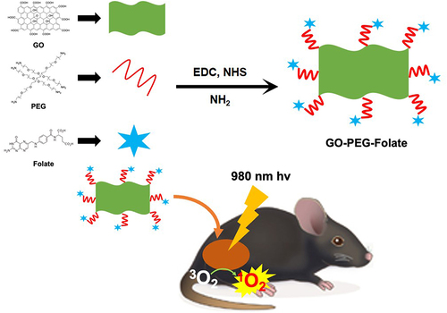 Figure 3 Schematic representation of the synthesis of GO-PEG-folic acid, which promotes tumor destruction by combining photodynamic and photothermal therapy using nanomaterials.