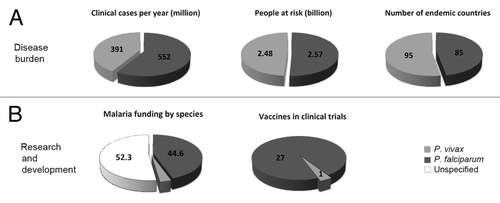 Figure 1. A comparison of disease burden (A) and investment in research and global malaria vaccine development (B) for both, P. vivax and P. falciparum between 2007 and 2009. Figures based on references Citation1, Citation5, and Citation6.