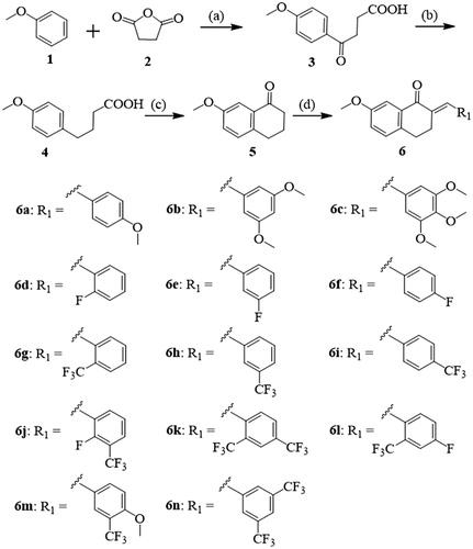 Scheme 1 Synthetic route of compounds 6a-n. Reagents and conditions: (a) AlCl3/CH3NO2, 0 °C, 3 h, 92%; (b) NH2NH2·H2O/KOH/DEG, 180 °C, 3 h, 86%; (c) PPA, 100 °C, 30 min, 65%; (d) Aromatic aldehyde, 20% NaOH (aq.), MeOH, 25 °C, 3–5 h.