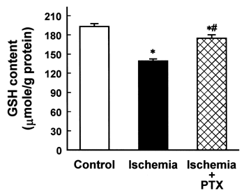 Figure 4. Effect of pentoxifylline (PTX) on glutathione (GSH) content in kidney cortex of rabbits with ischemic acute renal failure. Data are mean ± SEM of nine animals in each group. *p < 0.05 compared with control; #p < 0.05 compared with ischemia alone.