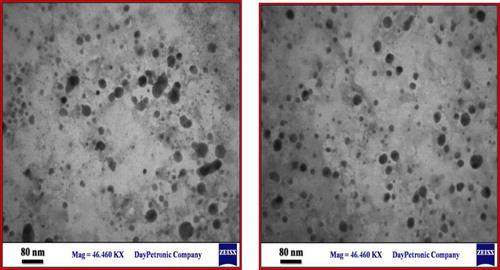 Figure 5. The TEM images of the catalyst.