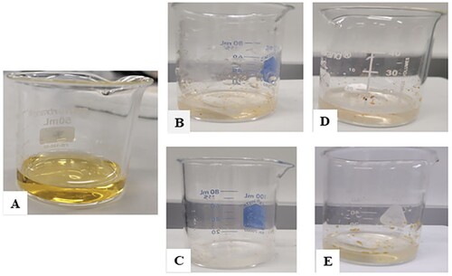 Figure 8. Visual images of methyl orange before reaction and after reaction. A – methyl orange before the addition on any INP, B (CWINP) and C (GTINP) after reaction with H2O2, and after exposure to UV light D (CWINP) and E (GTINP).