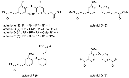 Fig. 1. Proposed structures of apteniols A–G.