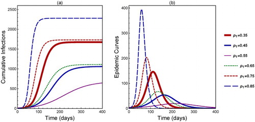 Figure 8. Numerical simulations of system (Equation1(1) Si′=−aiβiSi∑j=1ncijIjNj,Ii′=aiβiSi∑j=1ncijIjNj−γIi,Ri′=γIi,1≤i≤n,(1) ) with initial conditions (Equation9(9) Si(0)=(1−pi)(Ni−Ii0),Ii(0)=Ii0,Ri(0)=pi(Ni−Ii0), 1≤i≤n.(9) ) showing (a) the cumulative infections and (b) epidemic curves for various vaccine allocation (p1,p2) with p1+p2=1.32 (the values of p1 for different curves are labelled in the legend).