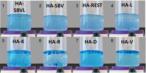 Figure 2 Results of Experiment 2 (cohesivity). After being dyed blue, the cohesivity of each of the eight hyaluronic acid gels was evaluated by adding 1mL of each sample into a beaker containing distilled water and mixing for 1 minute at a constant frequency of 160 rotations per minute. Standardized digital images were collected after 90 seconds and the resulting images were evaluated by three blinded independent raters according to the Gavard-Sundaram Cohesivity Scale.Citation22 Samples 1 to 8 are displayed by increasing degree of cohesivity.