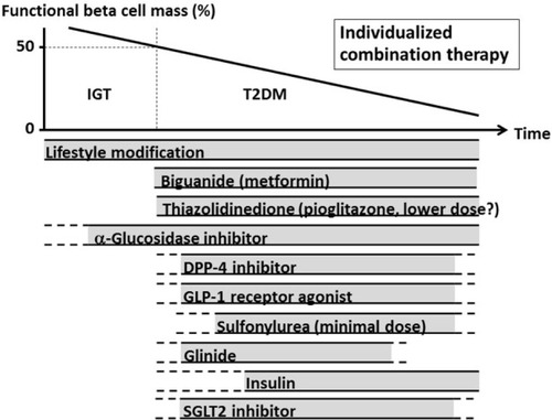 Figure 2 Proposed concept of treatment strategy for T2DM in relation to beta cell function.