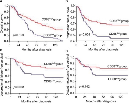 Figure 2 Kaplan–Meier analysis of the 10-year overall survival (A), 10-year progression-free survival (B), 10-year locoregional failure-free survival (C), and the 10-year distant metastasis-free survival (D) in relation to the expression of CD68 in the training test.