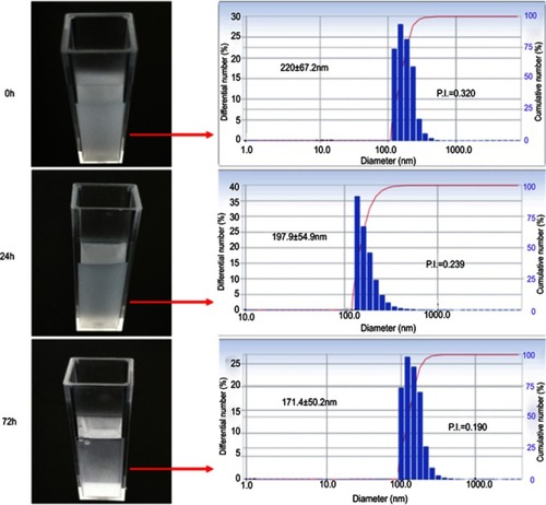 Figure 4 The stability observation of Nds-IR780 at 0 h, 24 h and 72 h.