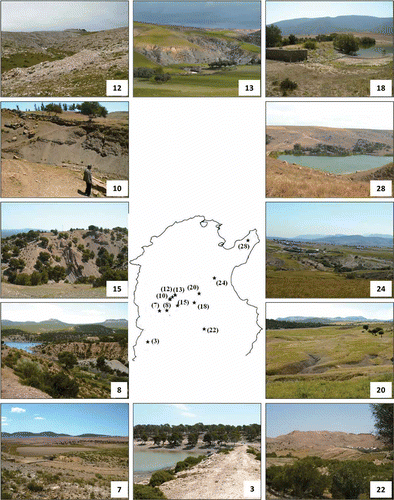 Fig. 6 The Tunisian Dorsal landscape in general and the experimental catchments in particular demonstrate different stages in the soil degradation cycle. Numbers correspond to catchments in Table 1.