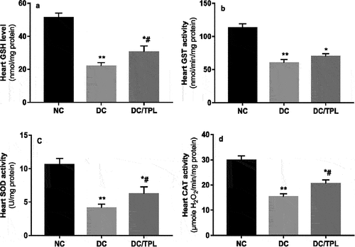 Figure 2. Effect of diabetes and tempol treatment on heart tissue oxidant/antioxidant status of normal control rats (NC) and treated group (NC: normal control; DC: diabetic control; DC/TPL: diabetic rat treated with tempol). GSH: reduced glutathione (a); GST: glutathione S-transferase (b); SOD: superoxide dismutase (c); CAT: catalase (d); Significant differences: DC, DC/TPL versus NC group (** p < 0.01; *p <0.05). DC/TPL versus DC group (#p <0.05).