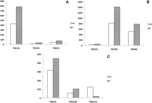 Figure 1 (A–C) Relative expression (as determined by means of qRT-PCR) of mRNA transcripts encoding for PDE isoenzymes 1A, 1B and 1C (cyclic AMP-specific PDE, Ca2+/calmodulin-dependent) (A), PDE2A (cyclic AMP PDE, cyclic GMP-dependent), PDE4B and 4D (cyclic AMP PDE) (B), PDE5A (cyclic GMP PDE), PDE10A and 11A (1) (Dual Substrate PDEs) (C) in human male and female urethra. The (densitometric) degree of PDE-specific mRNA expression is given in arbitrary units (AU), related to the expression of the so-called house-keeping gene alpha-actin (known to be a characteristic marker protein of smooth musculature).