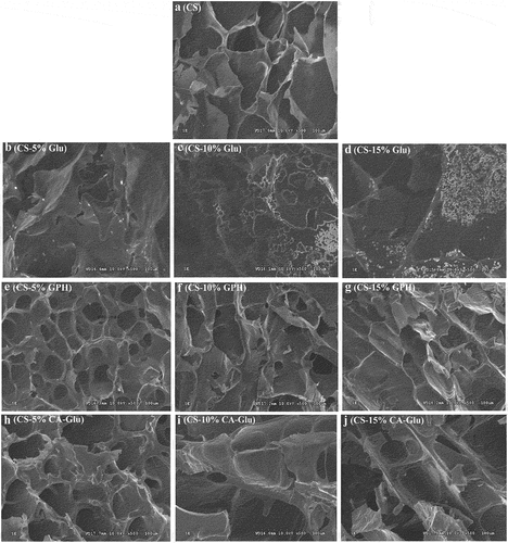 Figure 5. SEM images of cassava starch and the mixture of cassava starch and Glu (a), GPH (b) or CA-Glu (c).