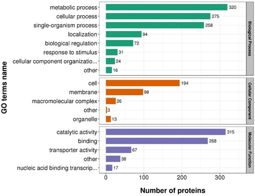 Figure 5. Statistical distribution chart of differentially expressed proteins of BL-tou vs. BL-control under each gene ontology (GO) category. The cutoff ratio for significant proteins changes between BL-tou and BL-control was set to above 1.2 or below 0.83 (p < 0.05).