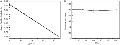 Figure 4.  (A) Determination of IC50 value for human tryptase. Data points are the average of three determinations. (B) Thermal stability of rTID at 90 ± 1°C. rTID was incubated at 90°C. At regular time intervals the residual trypsin inhibitor activity was determined.