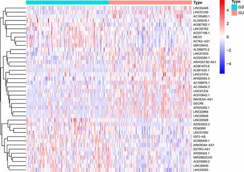 Figure 1. Heatmap of expression of 58 differential lncRNAs. The abscissa is the bladder cancer sample, which is divided into GS-like group (blue) and GU-like group (red), and the ordinate is 58 lncRNAs