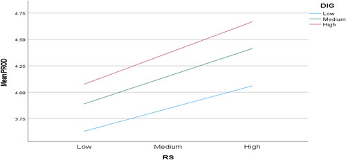 Figure 4. Moderation effect RS*DIG relationship on productivity.