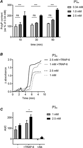 Figure 1. High extracellular phosphate increases platelet PolyP and clotting in PRP