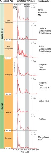 Figure 15. A stack of detrital zircon U–Pb age probability density function distributions for samples from Late Eocene to Oligocene formations in Taranaki and northern King Country basins, arranged in stratigraphic order. Each distribution represents an aggregate of zircon U–Pb age data for two or more samples, except for the Turi Formation, for which only one sample was analysed. The samples aggregated into each distribution are shown in a table in S1. Sample 2021-2014, from the Matapo Sandstone Member (Ngatoro-1), has a different U-Pb age spectra to the other Taranaki Basin samples, possibly reflecting its origin as a transgressive systems tract (King and Thrasher Citation1996) and hence it was not included in this figure. The vertical grey bands mark the age range of the Separation Point Suite (c. 124–103 Ma) and the Karamea Batholith (c. 400–300 Ma) in NW Nelson.