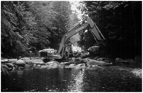 Figure 27 Riffle construction was undertaken during low discharge periods by placing the largest emergent boulders on the riffle face to act as an elevated ramp for the tracked backhoe. This allowed the stream to flow between the boulders. The gaps were infilled and packed with cobbles and gravels from the downstream pool.