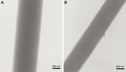Figure 4 Transmission electron microscopy images of F1 (A) and F2 nanofibers (B).