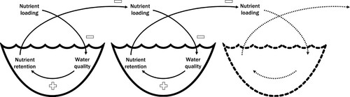 Figure 4. Schematic of the self-reinforcing (i.e., mathematically positive) feedback loop in networks of inland waters. Nutrient loading has a negative feedback on ecological water quality, water quality has a positive feedback on nutrient retention, and nutrient retention has a negative feedback on nutrient loading downstream, overall resulting in a self-reinforcing feedback loop that cascades down the network.