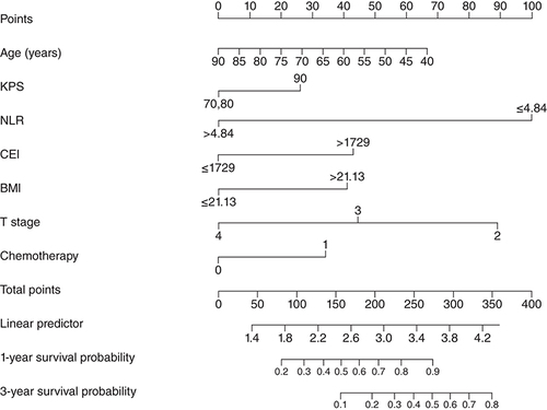 Figure 1. Nomogram for predicting 1-year and 3-year overall survival of esophageal squamous cell carcinoma.CEI: Cervical esophageal carcinoma index; KPS: Karnofsky performance status; NLR: Neutrophil to lymphocyte ratio; T: Tumor.