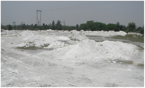 Figure 4. Photograph of M/s HPCL, Jagiroad paper mill dumping site.