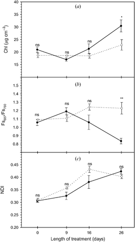 Figure 2 (a) Time series of total chlorophyll concentration, (b) midday radiometric measurements: Fs687/Fs760, red/far‐red fluorescence ratio and (c) normalized difference index (NDI). Full and empty dots refer to control and treatment samples, respectively. Values represent means ± SE (n = 3). Comparison between means was performed according to Student's t‐test (ns: P>0.05, *: P⩽0.05, **: P⩽0.01, ***: P⩽0.001).