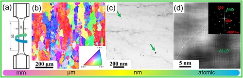 Figure 1. (a) Geometric size of the specimens. (b) EBSD IPF map of the homogenized Al alloy. (c) Bright field TEM image showing the existence of dispersoids. (d) HRTEM image along the [001]Al zone axis; the inserted FFT confirms the structure of Al3Zr.