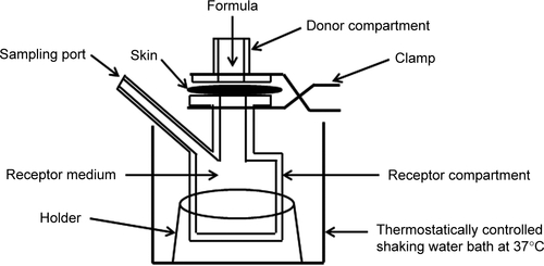 Figure S1 Schematic diagram of the skin permeation measurement apparatus.