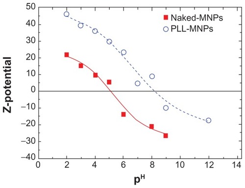 Figure 3 Zeta potential curves as a function of the pH for naked Fe3O4 nanoparticles (filled squares) and PLL-coated Fe3O4 nanoparticles (open circles).Note: The lines are a guide for the eye.Abbreviations: MNPs, magnetic nanoparticles; PLL, poly-l-lysine.