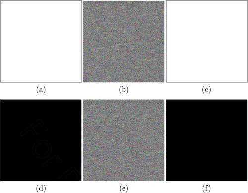 Figure 7. Experimental results for encryption and decryption with all white and all black images.