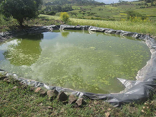 Figure 6. A rainwater harvesting pond with the dimension of 10 × 8 m and a depth of 4 m (Photo: Staffan Rosell).