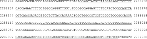 Supplementary Figure 1 The sequence surrounding intron‐15 length variation in the ABCA3 gene. The length variation is composed of four nearly identical 80‐bp repeats indicated by single (first and third repeats) or double underline (second and fourth repeats). The database SNP (single nucleotide polymorphism) rs323044 is written in lower case. Positions refer to the NCBI (National Center for Biotechnology Information) entry NT_037887.
