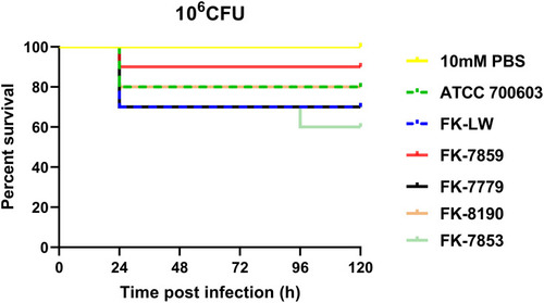 Figure 4 The effect of 1×106 colony-forming units (CFU) of each OXA-232-producing CRKP strain on survival was observed in Galleria mellonella. The results do not have statistically significant by the Log rank test.