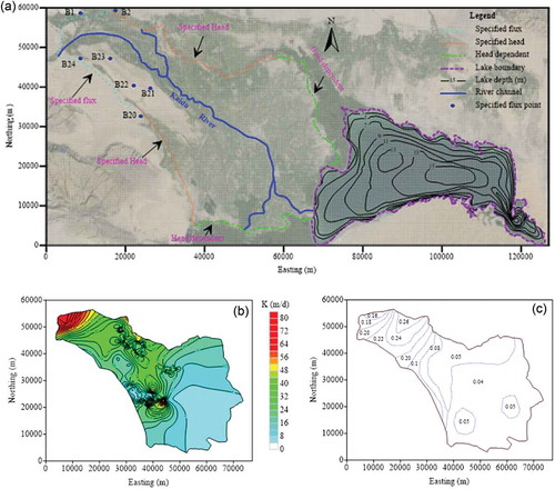 Figure 5. (a) Spatial discretization of the modelled domain and the prescribed boundary conditions; (b) distribution of hydraulic conductivity; and (c) distribution of specific yield in the model.