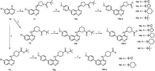 Scheme 1. Reagents and conditions: (a) (S)-1-Boc-3-hydroxypyrrolidine, anhydrous THF, NaH, rt, overnight, 70%; (b) 6-methoxy-3-pyridinylboronic acid, Na2CO3, PdCl2 (dppf), DME/H2O, reflux, 4 h, 65–81%; (c) (i)TFA, CH2Cl2, rt, 2 h, 23–91%; (ii) diverse acids, DMF, HATU, DIPEA, rt, 12 h, 23–91%; (d) (S)-1-Boc-3-aminopiperidine, DMF, DIPEA, 90 °C, 6 h, 90%; (e) 1-Boc-4-aminopiperidine, DMF, DIPEA, 90 °C, 6 h, 52%.