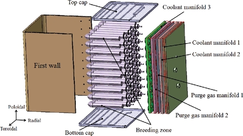 Figure 1. Present design of the CFETR HCCB blanket.