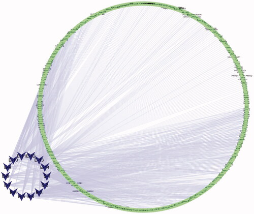 Figure 4. Component-target diagram.